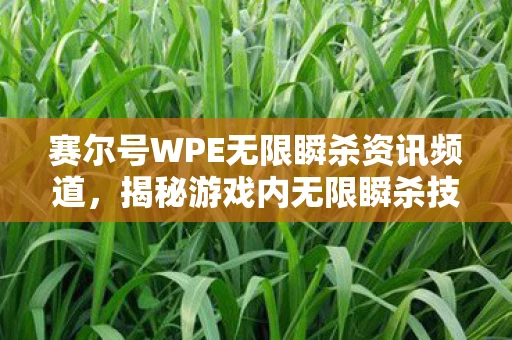 赛尔号WPE无限瞬杀资讯频道，揭秘游戏内无限瞬杀技巧