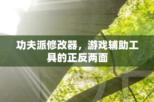 功夫派修改器，游戏辅助工具的正反两面