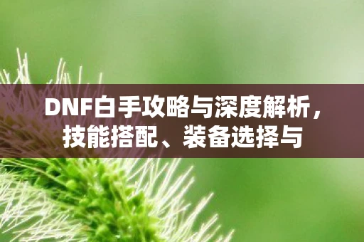 DNF白手攻略与深度解析，技能搭配、装备选择与