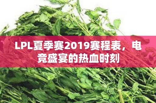 LPL夏季赛2019赛程表图片