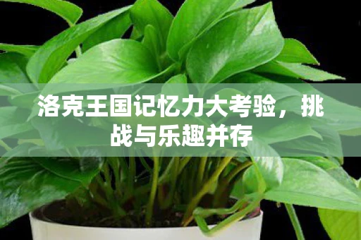 洛克王国记忆力大考验，挑战与乐趣并存