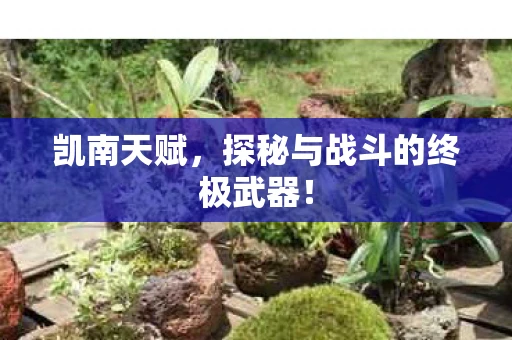 凯南天赋，探秘与战斗的终极武器！