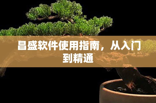 昌盛软件使用指南，从入门到精通