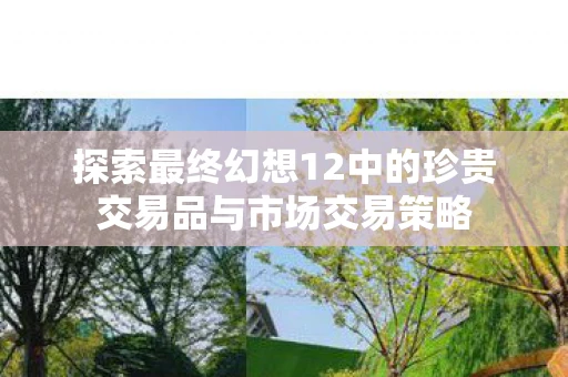 探索最终幻想12中的珍贵交易品与市场交易策略