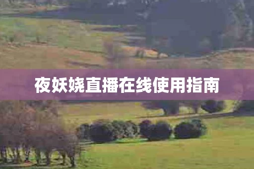 夜妖娆直播在线使用指南图片