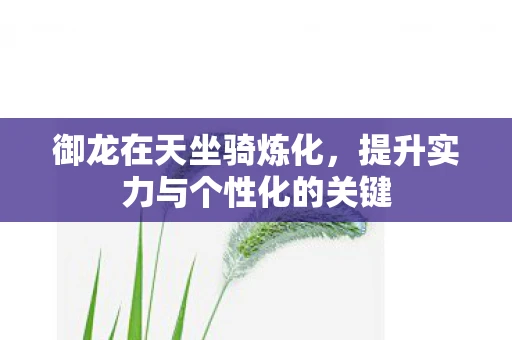 御龙在天坐骑炼化，提升实力与个性化的关键