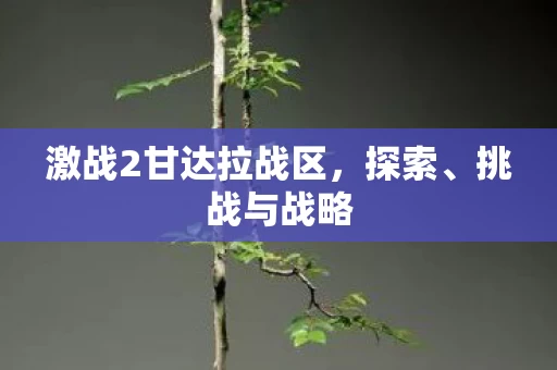 激战2甘达拉战区图片