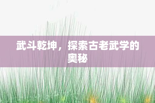 武斗乾坤，探索古老武学的奥秘