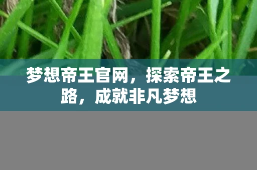 梦想帝王官网，探索帝王之路，成就非凡梦想