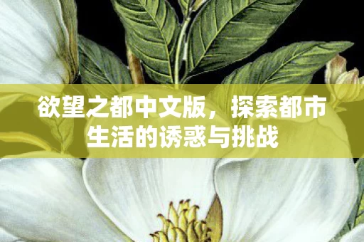 探索都市生活的诱惑与挑战图片