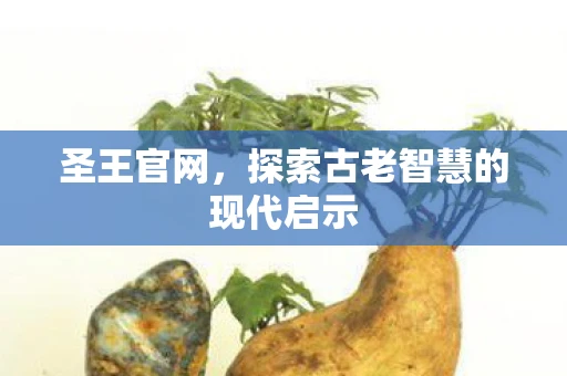 圣王官网，探索古老智慧的现代启示