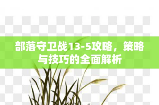 部落守卫战13-5攻略，策略与技巧的全面解析