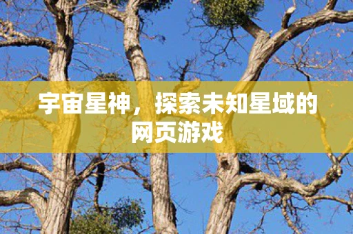 宇宙星神，探索未知星域的网页游戏
