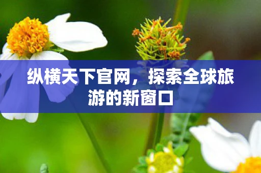 纵横天下官网，探索全球旅游的新窗口