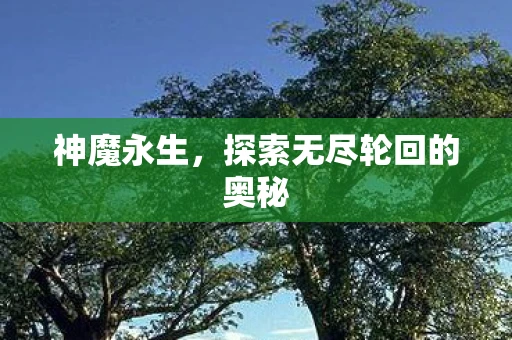神魔永生，探索无尽轮回的奥秘
