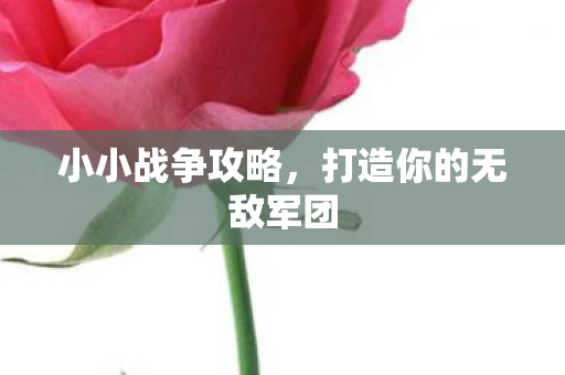 小小战争攻略，打造你的无敌军团