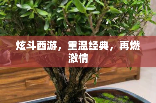 炫斗西游，重温经典，再燃激情