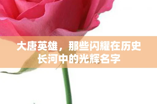 大唐英雄，那些闪耀在历史长河中的光辉名字