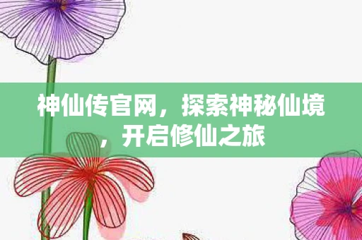 神仙传官网，探索神秘仙境，开启修仙之旅