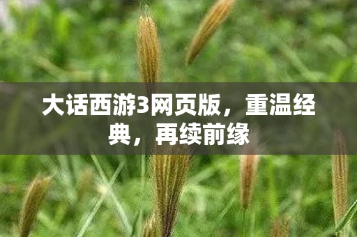 大话西游3网页版，重温经典，再续前缘