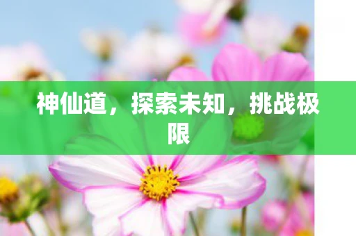 神仙道，探索未知，挑战极限