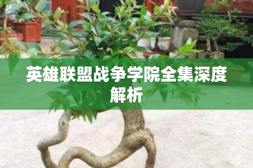 英雄联盟战争学院全集深度解析图片