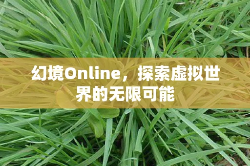幻境Online，探索虚拟世界的无限可能