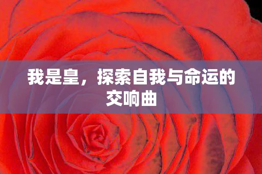 我是皇，探索自我与命运的交响曲