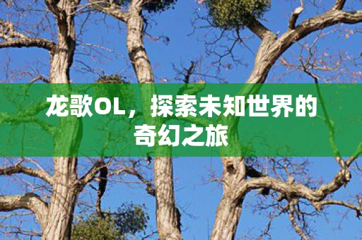 龙歌OL，探索未知世界的奇幻之旅