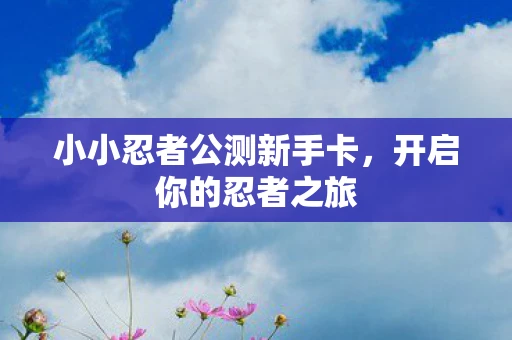 小小忍者公测新手卡，开启你的忍者之旅
