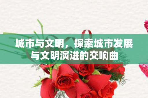 城市与文明，探索城市发展与文明演进的交响曲