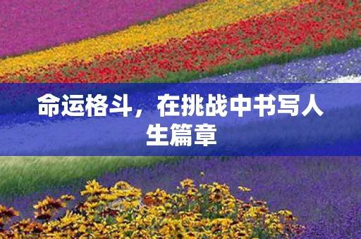 命运格斗，在挑战中书写人生篇章