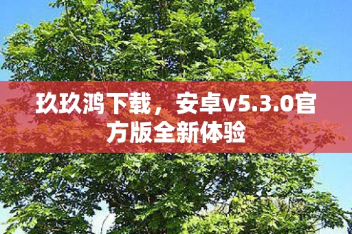 0官方版全新体验图片