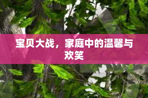 宝贝大战，家庭中的温馨与欢笑