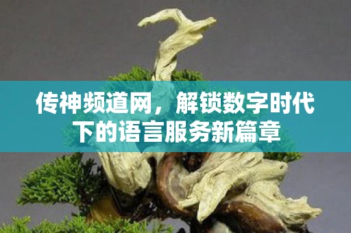 传神频道网，解锁数字时代下的语言服务新篇章