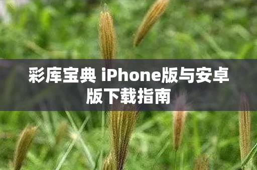 彩库宝典 iPhone版与安卓版下载指南图片