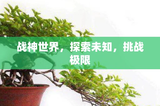 战神世界，探索未知，挑战极限