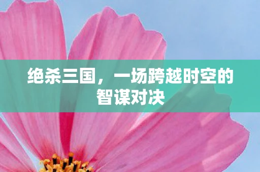 绝杀三国，一场跨越时空的智谋对决