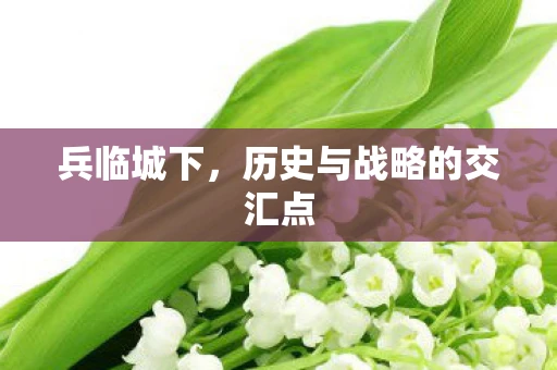 兵临城下，历史与战略的交汇点