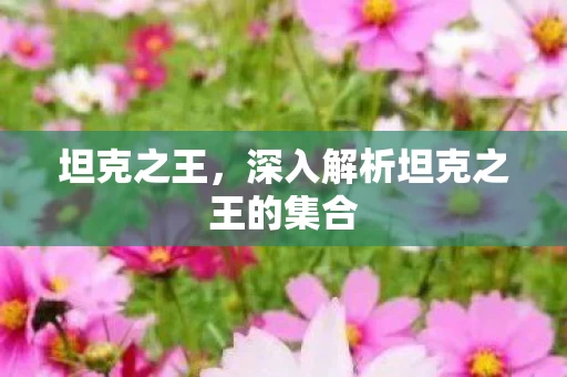 深入解析坦克之王的集合图片