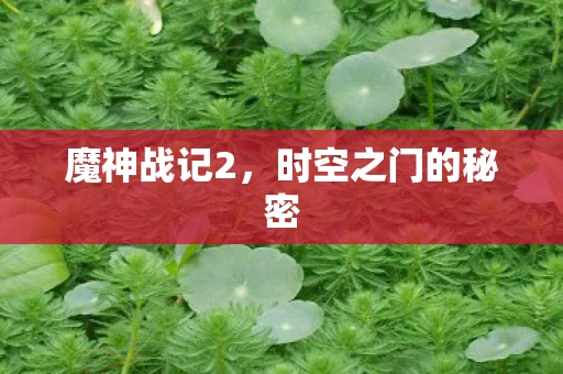 魔神战记2，时空之门的秘密