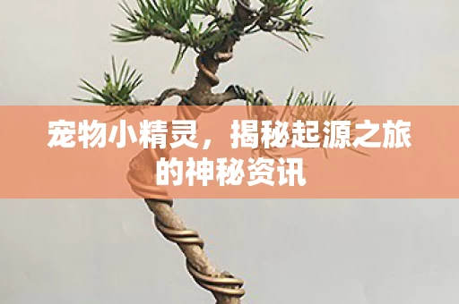 揭秘起源之旅的神秘资讯图片