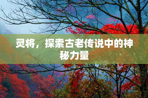 灵将，探索古老传说中的神秘力量
