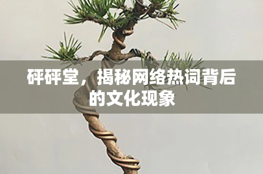 砰砰堂，揭秘网络热词背后的文化现象