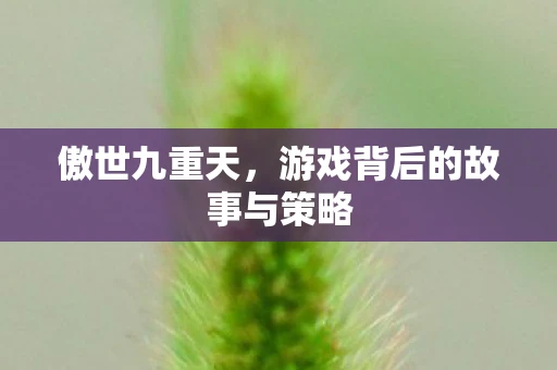 傲世九重天，游戏背后的故事与策略