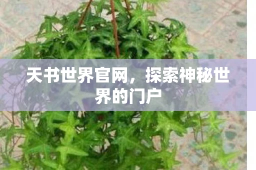 天书世界官网，探索神秘世界的门户