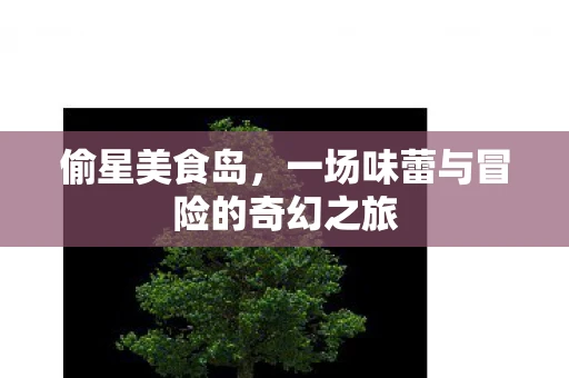 偷星美食岛，一场味蕾与冒险的奇幻之旅