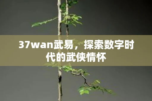 37wan武易，探索数字时代的武侠情怀