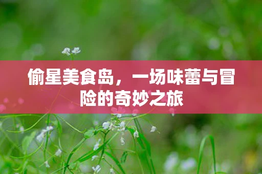 偷星美食岛，一场味蕾与冒险的奇妙之旅