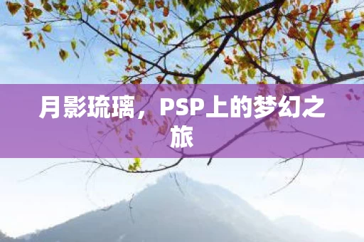 PSP上的梦幻之旅图片